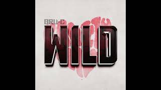Bru C - Wild [HQ Acapella & Instrumental] WAV #cleanacapella
