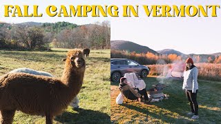 Camping on an alpaca farm in Vermont!