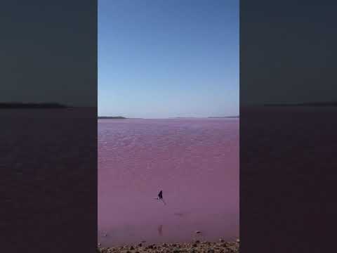 Pink lake@Australia,ทะเลสาบสีชมพูที่ออสเตรเลีย#pinklake#ทะเลสาบสีชมพู#ออสเตรเลีย