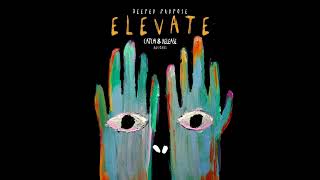 #06 Deeper Purpose   Elevate Original Mix
