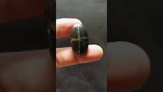 Kelor Taoak Jalak Sakral Istimewa langka