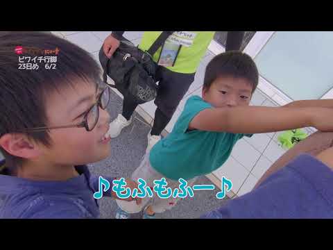 2018 08 09放送 知ったかぶりカイツブリにゅーす 