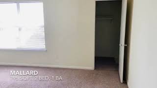 2BR,1BA Classic-Style Apartment Home with Full W\/D!