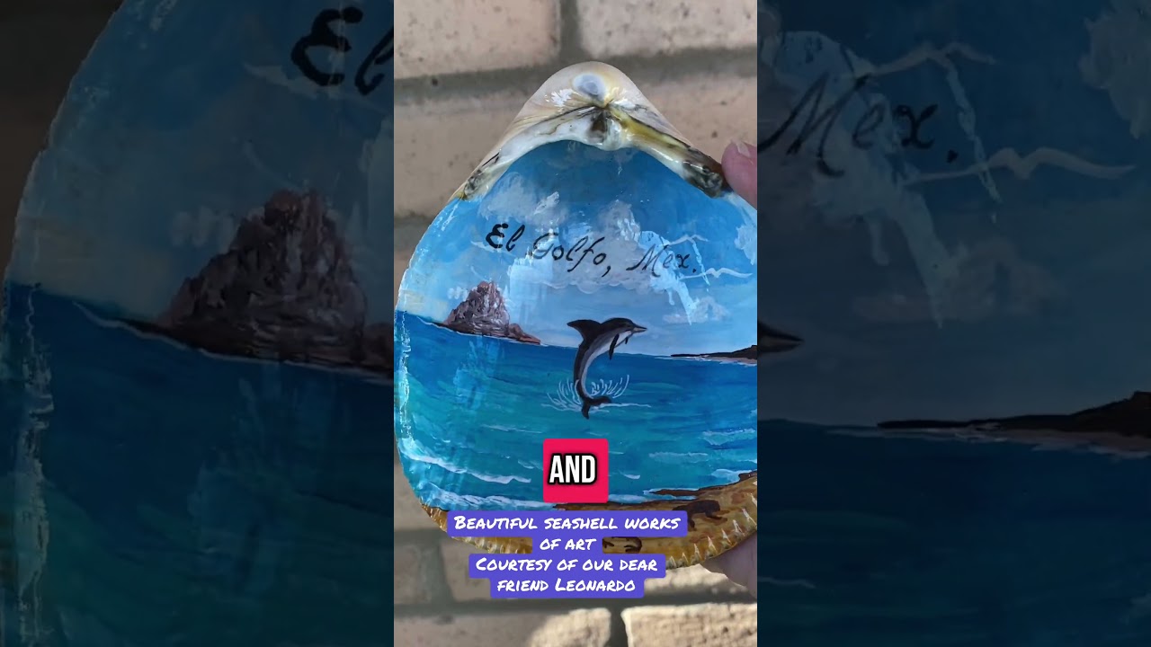 Hand painted seashells by local artist Leonardo DeVinci Gonzales.