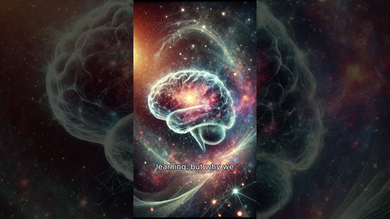 The Greatest Mysteries of the Human Brain