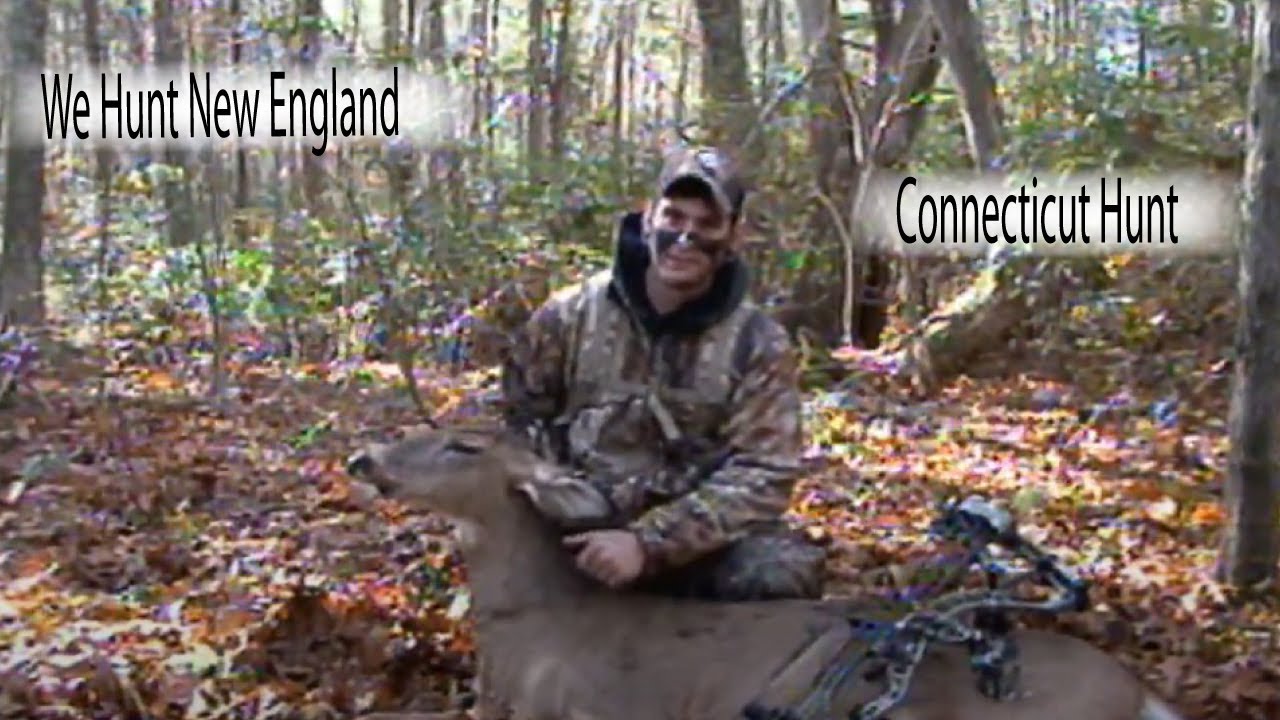 Bow Hunting Deer Connecticut YouTube