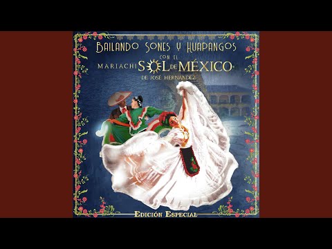 Putar Comentario - La Pasión - Mariachi Sol de Mexico de Jose Hernandez