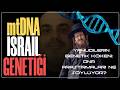 Yahudilerin Genetik Kökeni DNA Araştırmaları Gerçekte Ne Söylüyor Yahudilerin Genetik Kökeni DNA Araştırmaları Gerçekte Ne Söylüyor