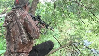 Nembak Ikan Mujaer Dari Atas Pohon...