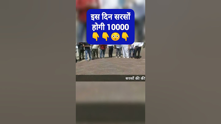सरसो मे बम्पर तेजी के आसार #sarso #aajkemandibhav dhan ke taaja mandi bhav today dhan ke taaja mandi