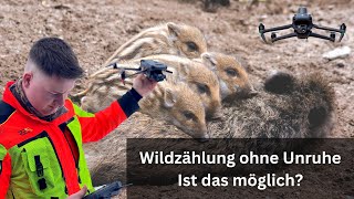 How to Get an Overview of Your Wildlife Population! Drone Wildlife Survey | DJI Mavic 3T screenshot 4