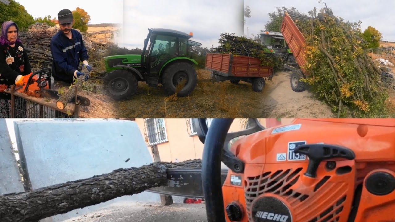 Köyde ODUN KESİMİ başladı. #köyişleri #köydeyaşam