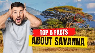 Celebrity Unveiling the Secrets of the Savanna: Fascinating Facts About Earth's Most Iconic Ecosystem! Net Worth