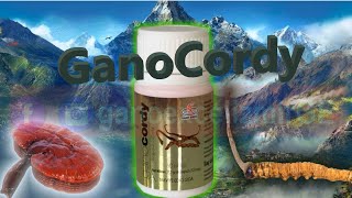 Gano Excel Ganocordy Kapsül Nedir, Nasıl Kullanılır, Faydaları Nelerdir. Türkçe - Engelsiz Video