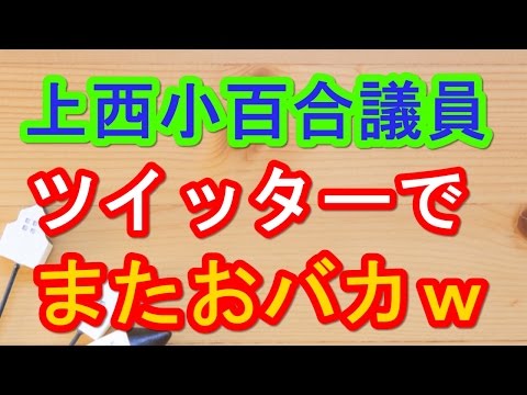 上西小百合 ツイッターでまたおバカｗｗ
