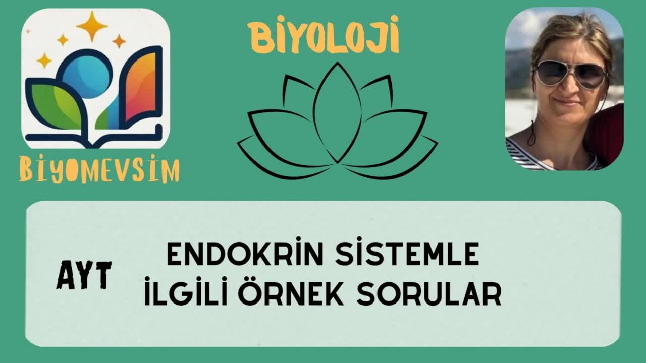 AYT-ENDOKRİN SİSTEMLE İLGİLİ ÖRNEK SORULAR