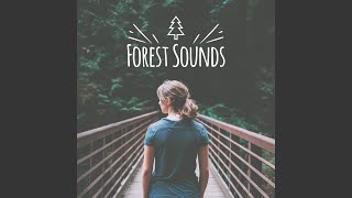 Bird Songs in Forest screenshot 1