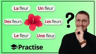 12 Exercices : LE, LA, LES, UN, UNE, DES (A1)
