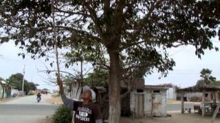 Muey Oasis Peninsular