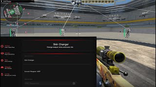 This CS2 External Cheat HAS A SKIN CHANGER...