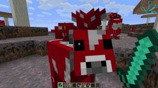 Minecraft · La extraña isla con setas