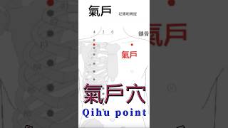 胃經:氣戶穴定位、功效 Stomach Meridian: Location and Functions of Qihu Point #健康 #养生 #中醫傳承 #中國醫