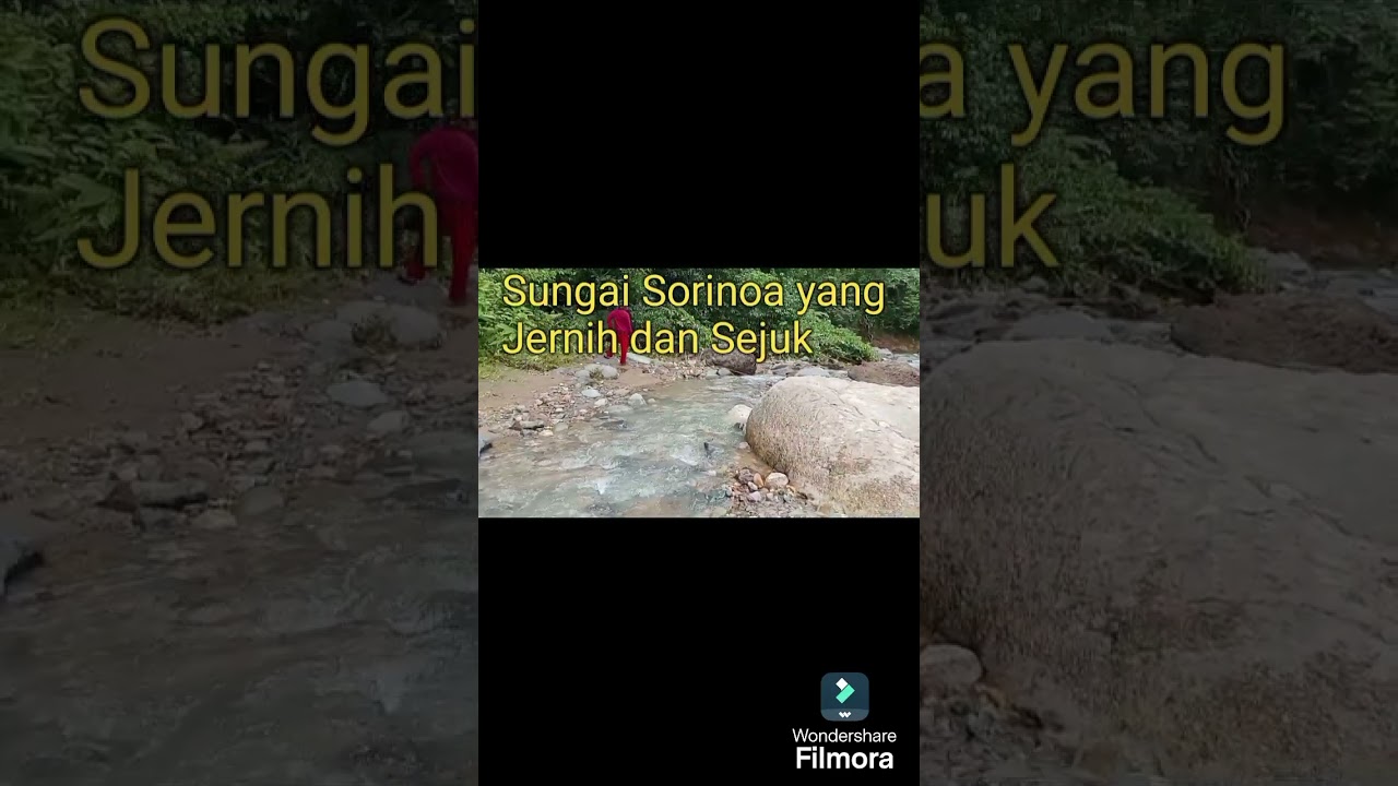 Adventure menyelusuri Jejak Sorinoa, Lokasi Penanaman Buah Buahan || KTH Sorinoa Desa Pela Monta