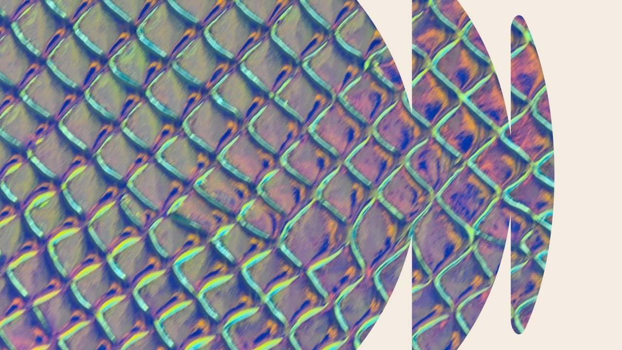 Uploads from Shutterstock