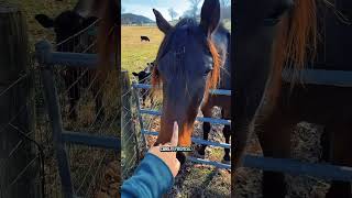 Daphne And Molly Have No Idea How Their World Is About To Change