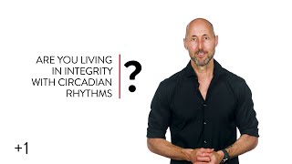 Circadian Chickens: They’ve Got the Rhythm… Do You? (Heroic +1 #1,496)