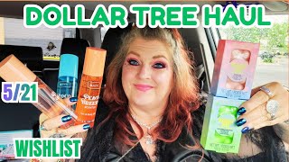 DOLLAR TREE HAUL | New Fun Finds | May 21, 2026