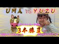 【3本勝負】ゆずちゃんvsお馬さんで勝負してみた！