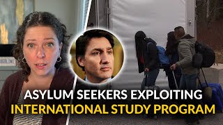 Asylum seekers exploiting Canada's student visa program in unsustainable surge
