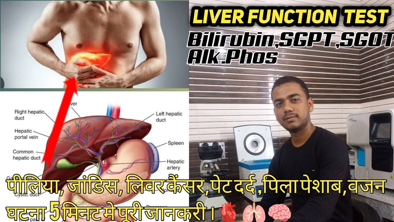 LIVER FUNCTION TEST ,Liver Function test kese padhe hindi ,Liver