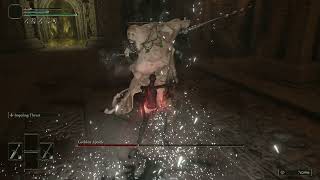 Godskin Apostle (Caelid Tower) No Roll/Block/Jump [RL1, ng+7]
