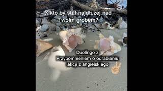 😂😂😎xd #wybijsie #memes #nietrend #funny #ja #edit #capcut #coś #xdi #ok #duolingo #trumna