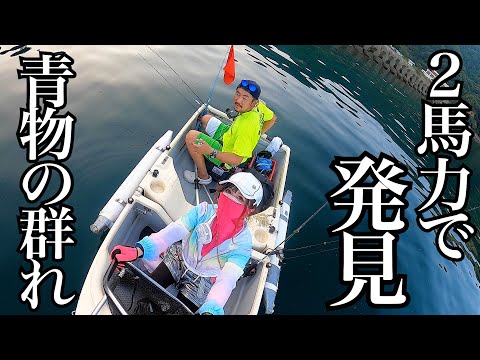 湘南手渡しのみ：　チャンネルアイランド　Motorboat Too 5'5\" 湘南手渡しのみ： チャンネルアイランド Motorboat Too 5'5
