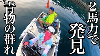 湘南手渡しのみ：　チャンネルアイランド　Motorboat Too 5'5\" 湘南手渡しのみ： チャンネルアイランド Motorboat Too 5'5