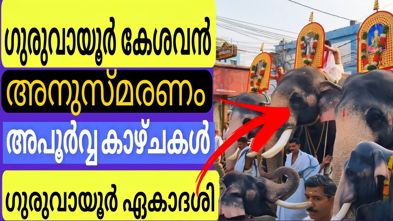 ഗുരുവായൂർ ഏകാദശി കേശവൻ അനുസ്മരണം | GURUVAYUR EKADASHI |GURUVAYUR TEMPLE 2025
