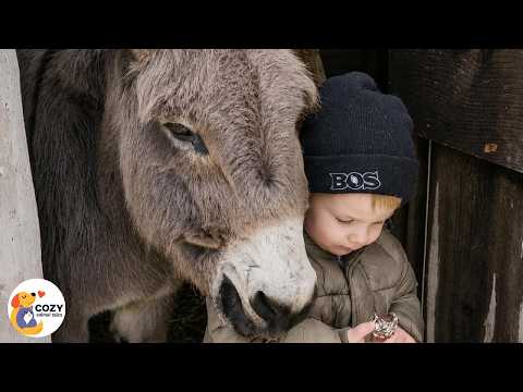 A Lonely Donkey Chose a 3-Year-Old Boy—and Never Left His Side