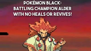 Pokémon Black Battling Champion Alder No Healsrevives