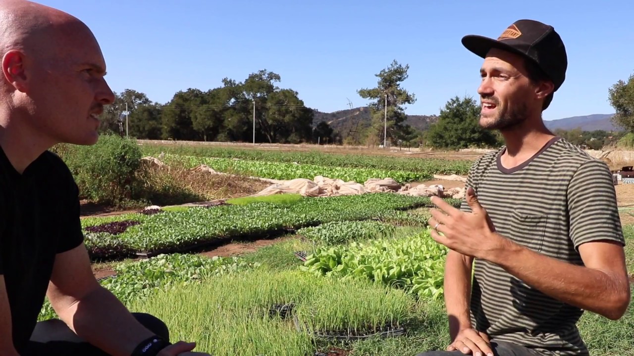 Working for FREE to Start a Farm