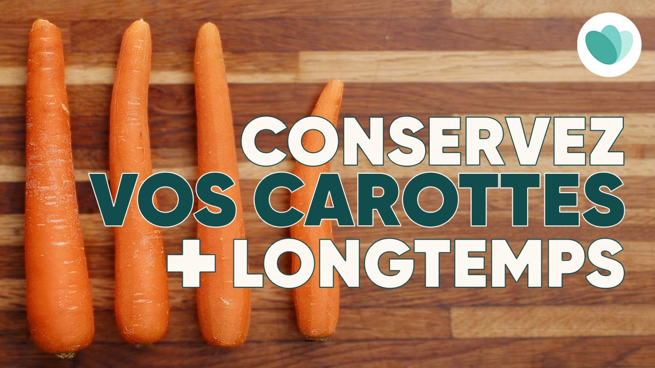 Comment bien conserver ses carottes Too Good To Go YouTube
