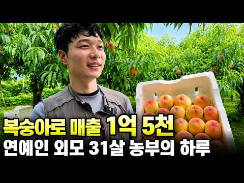 "복숭아 농사로 연 매출 1억 5천" 사회복지사 그만두고 농부가 된 31살의 하루 thumbnail