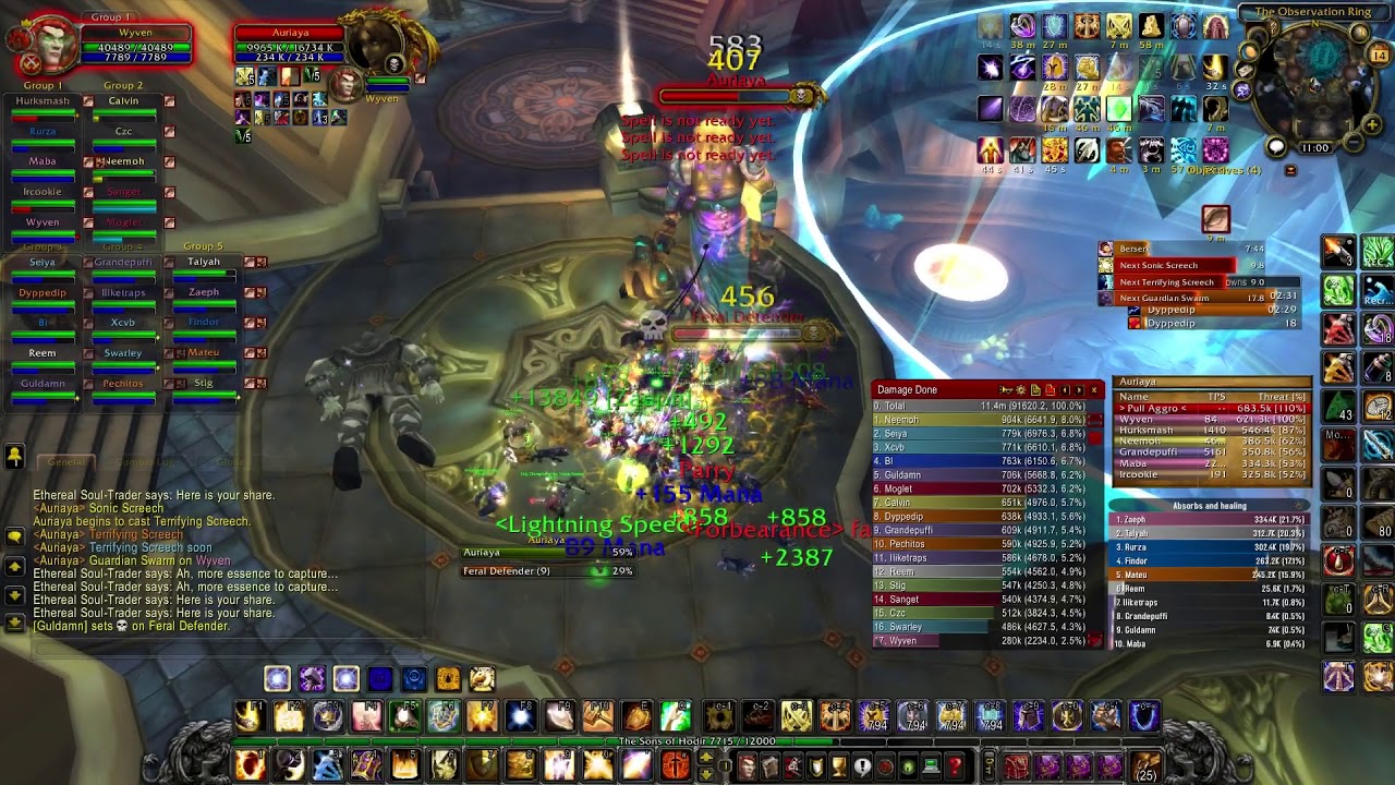 Skra - Auriaya - Ulduar Guide!