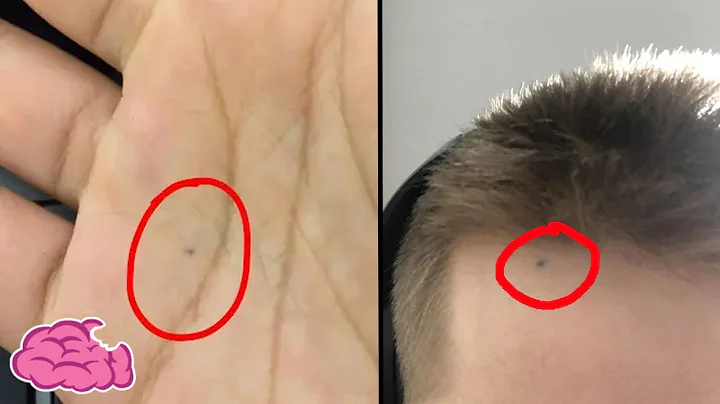 為什麼90%的人都有被鉛筆烙印在身上的經驗? - 天天要聞