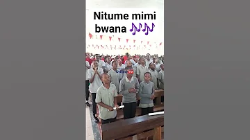 UTAPENDA WALIVYOIMBA NITUME MIMI BWANA Kanisakatoliki Kwaya Kwayakatoliki 