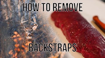 How to Remove a Deer Backstrap