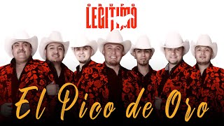 Grupo Legítimo - El Pico de Oro (Lyric Video)
