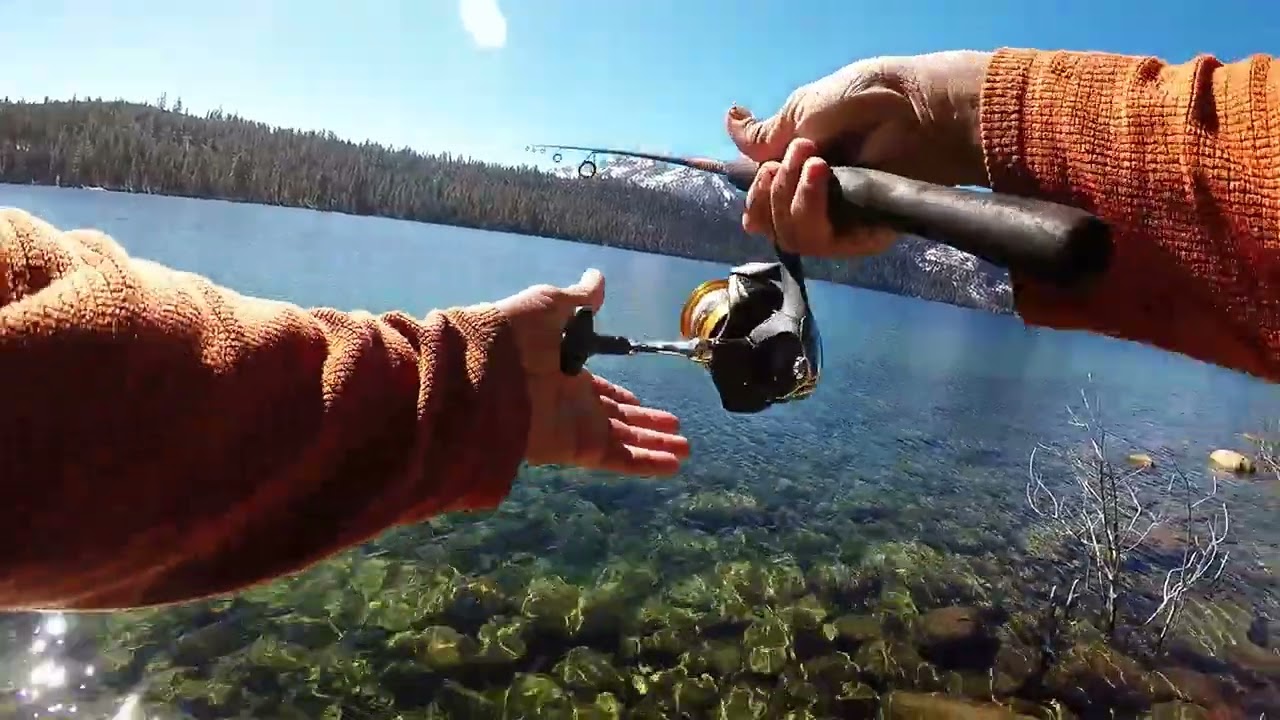 Nice Lake Tahoe Brown Reveals a Shallow Water Secret